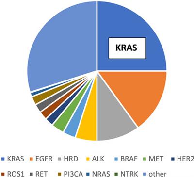 KRASG12C mutant lung adenocarcinoma: unique biology, novel therapies and new challenges